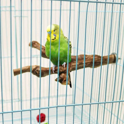 Natural Grapevine Wood Bird Perch – Parrot Stand, Chew Toy & Claw Grinding Accessory for Cockatiels, Parakeets & Small Birds